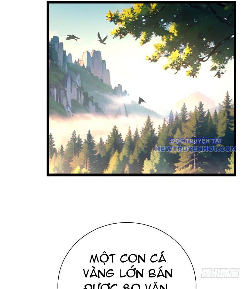 Thành Thần Bắt Đầu Từ Thủy Hầu Tử Chapter 4 - Trang 2