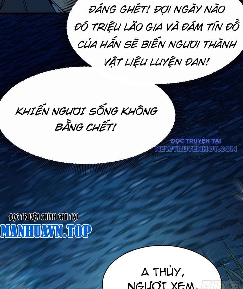 Thành Thần Bắt Đầu Từ Thủy Hầu Tử Chapter 5 - Trang 2