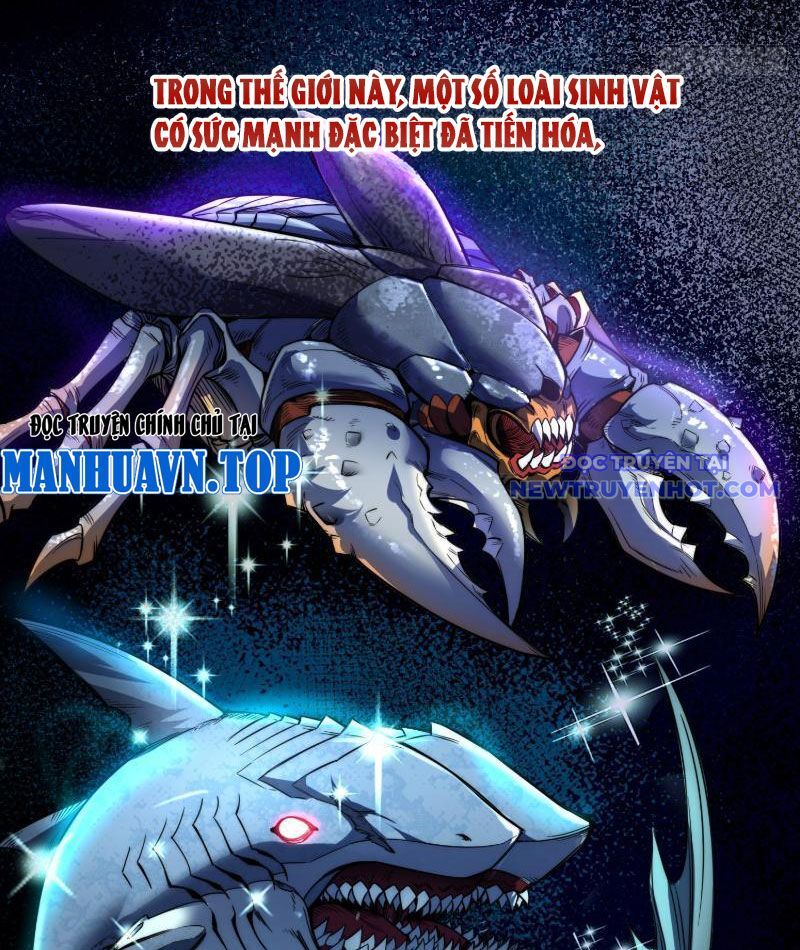 Thành Thần Bắt Đầu Từ Thủy Hầu Tử Chapter 6 - Trang 2