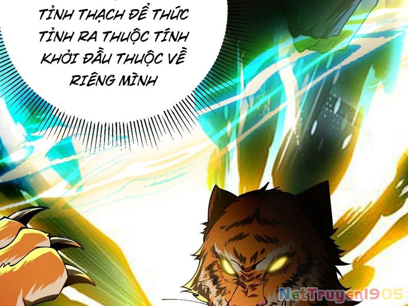 Thành Thần Tại Tận Thế Chapter 1 - Trang 2