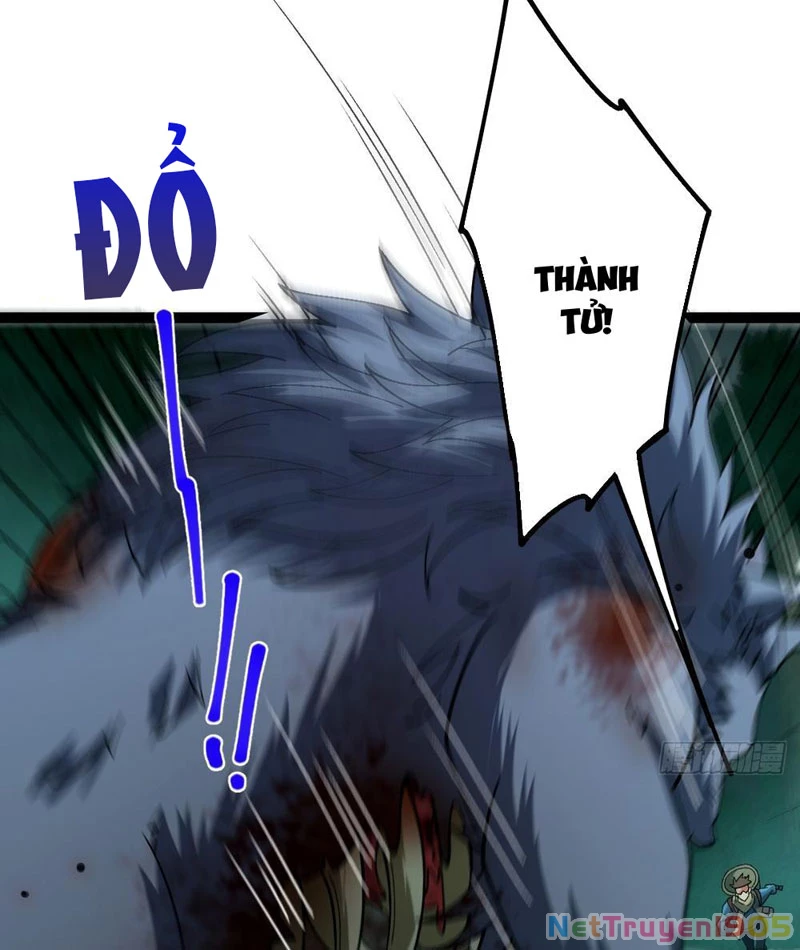 Thành Thần Tại Tận Thế Chapter 3 - Trang 2