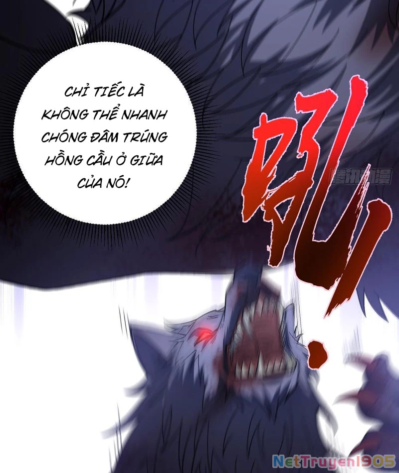 Thành Thần Tại Tận Thế Chapter 3 - Trang 2