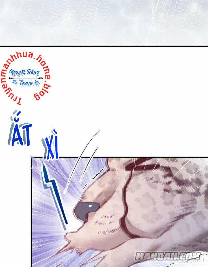 Thảnh Thơi Thú Thế Chủng Chủng Điền, Sinh Sinh Tể Chapter 204 - Trang 2