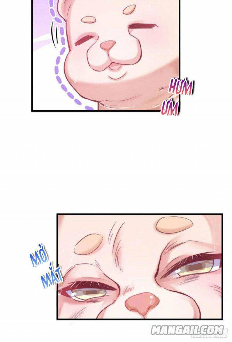 Thảnh Thơi Thú Thế Chủng Chủng Điền, Sinh Sinh Tể Chapter 205 - Trang 2