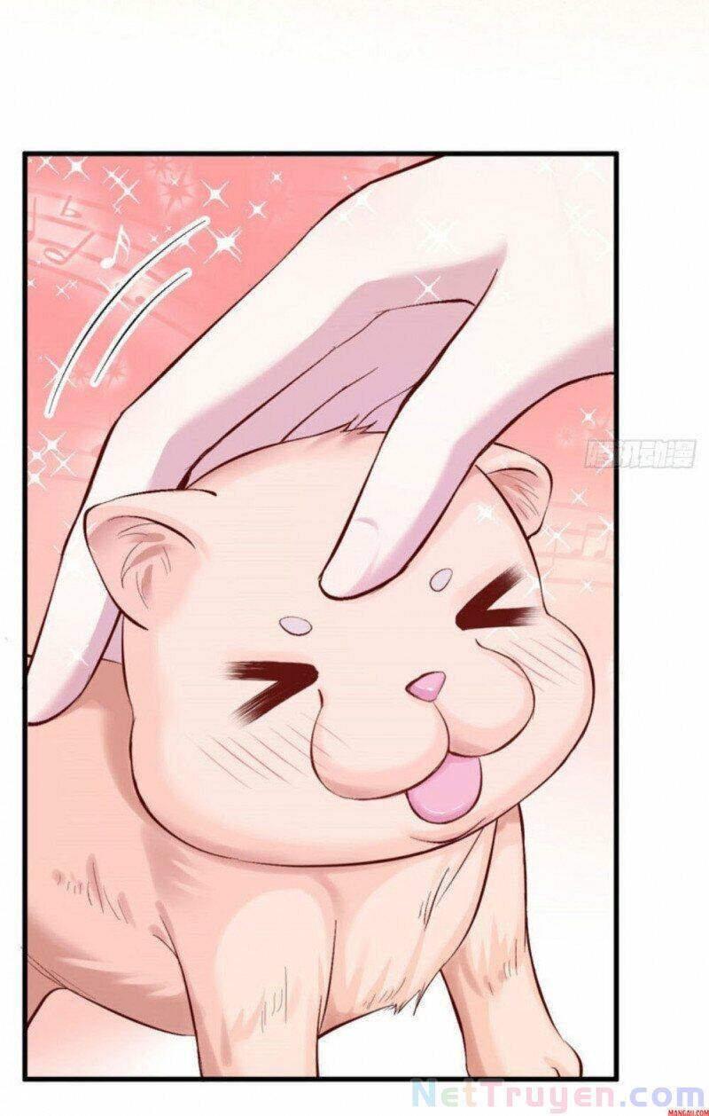 Thảnh Thơi Thú Thế Chủng Chủng Điền, Sinh Sinh Tể Chapter 208 - Trang 2