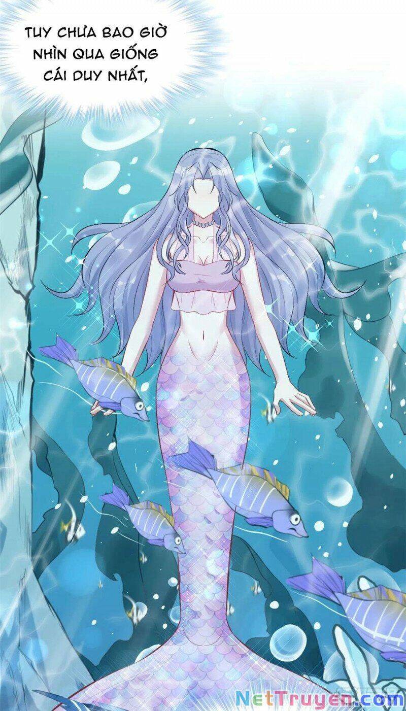 Thảnh Thơi Thú Thế Chủng Chủng Điền, Sinh Sinh Tể Chapter 215 - Trang 2