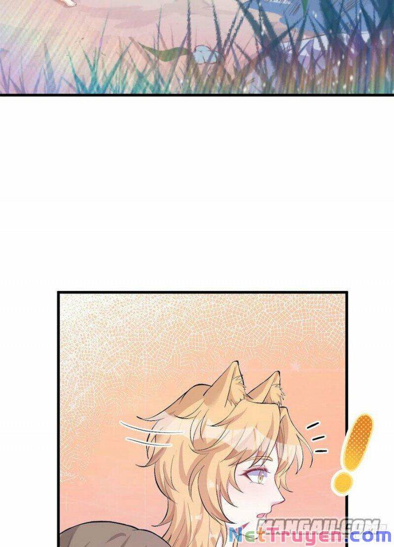 Thảnh Thơi Thú Thế Chủng Chủng Điền, Sinh Sinh Tể Chapter 215 - Trang 2