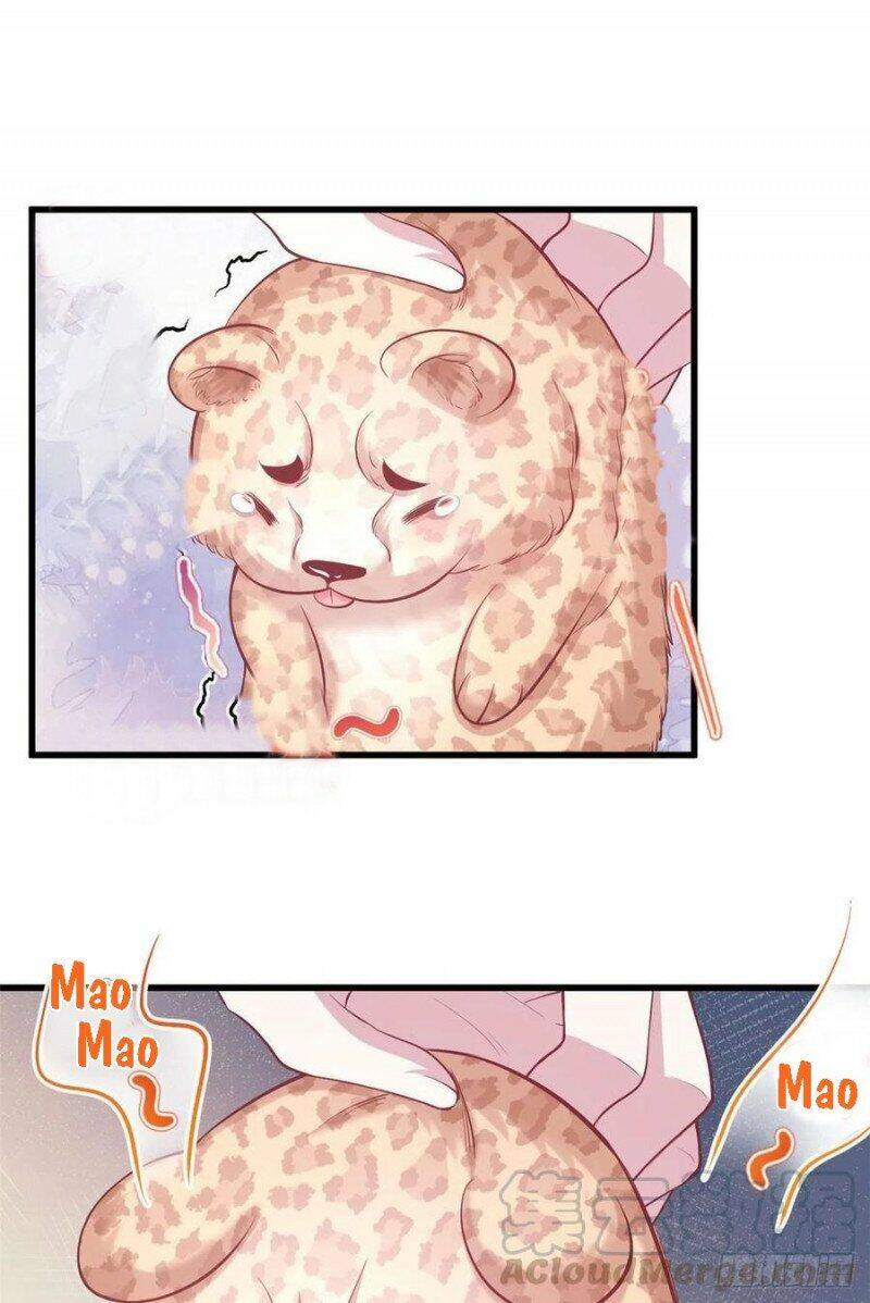 Thảnh Thơi Thú Thế Chủng Chủng Điền, Sinh Sinh Tể Chapter 238 - Trang 2