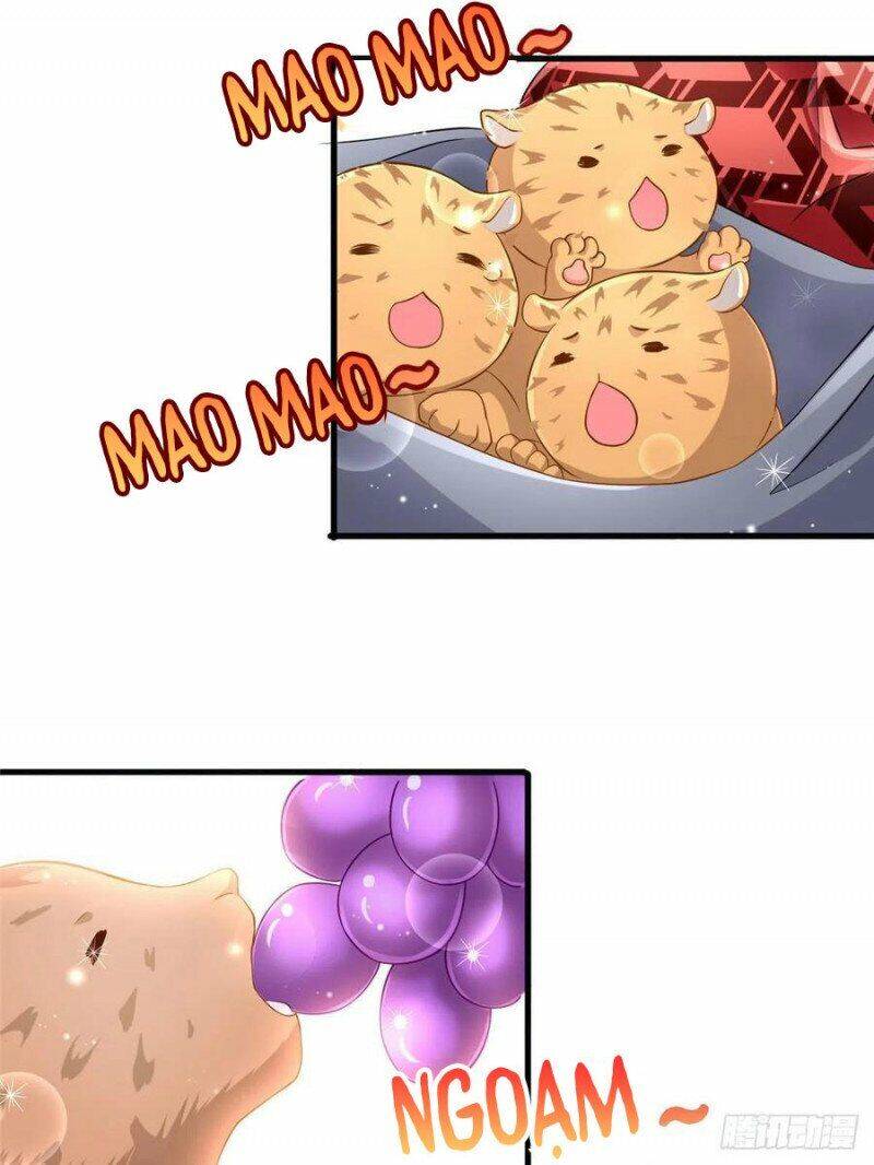 Thảnh Thơi Thú Thế Chủng Chủng Điền, Sinh Sinh Tể Chapter 247 - Trang 2