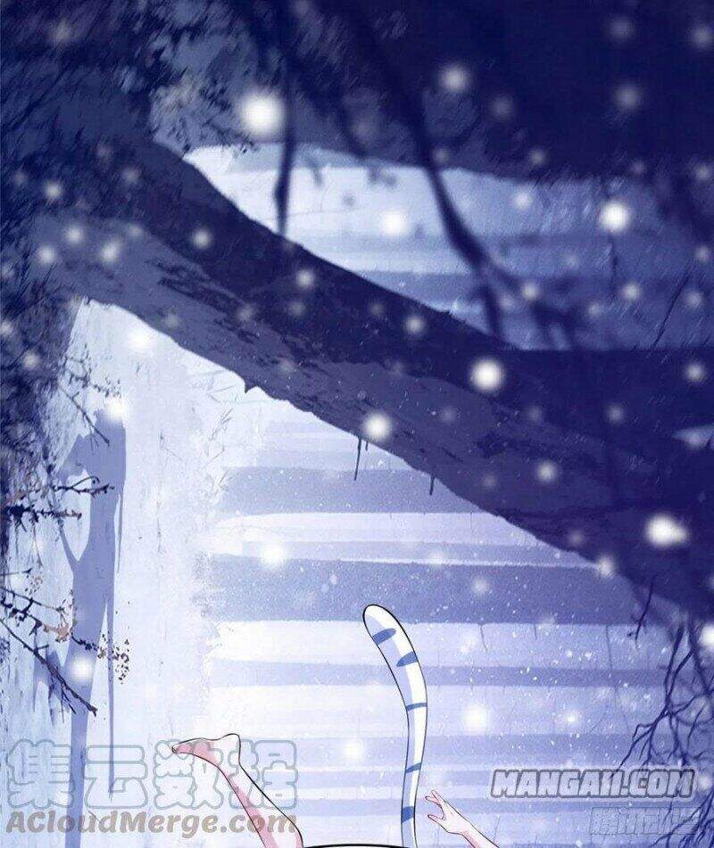 Thảnh Thơi Thú Thế Chủng Chủng Điền, Sinh Sinh Tể Chapter 269.1 - Trang 2