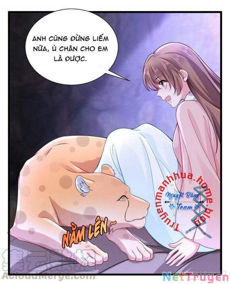 Thảnh Thơi Thú Thế Chủng Chủng Điền, Sinh Sinh Tể Chapter 270.1 - Trang 2