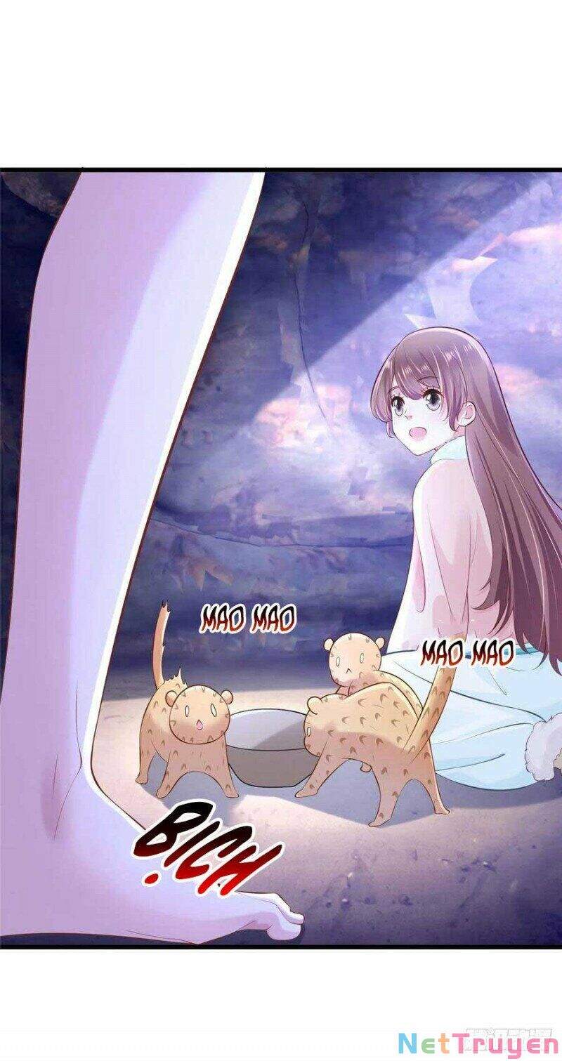 Thảnh Thơi Thú Thế Chủng Chủng Điền, Sinh Sinh Tể Chapter 273.1 - Trang 2