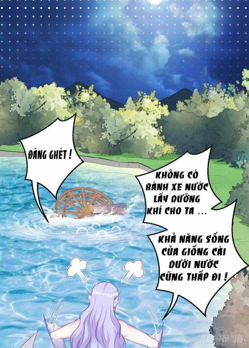 Thảnh Thơi Thú Thế Chủng Chủng Điền, Sinh Sinh Tể Chapter 334.1 - Trang 2