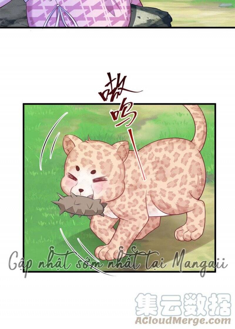 Thảnh Thơi Thú Thế Chủng Chủng Điền, Sinh Sinh Tể Chapter 375 - Trang 2