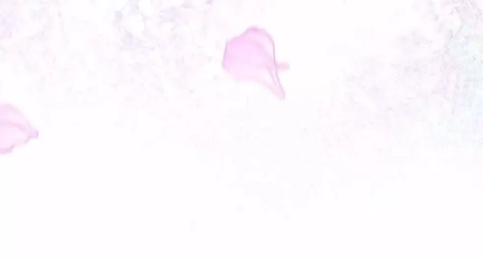 Thảnh Thơi Thú Thế Chủng Chủng Điền, Sinh Sinh Tể Chapter 635 - Trang 2