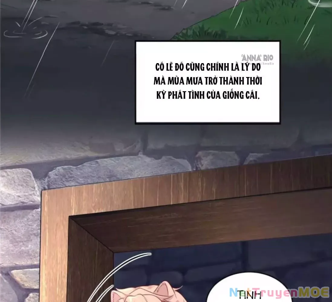 Thảnh Thơi Thú Thế Chủng Chủng Điền, Sinh Sinh Tể Chapter 694 - Trang 2