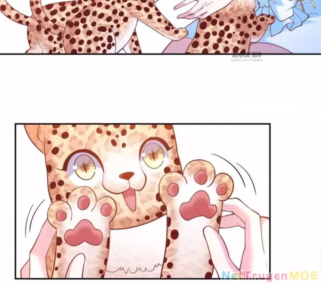 Thảnh Thơi Thú Thế Chủng Chủng Điền, Sinh Sinh Tể Chapter 699 - Trang 2