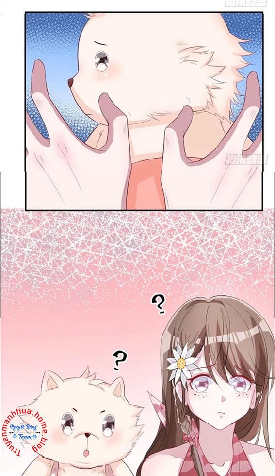 Thảnh Thơi Thú Thế Chủng Chủng Điền, Sinh Sinh Tể Chapter 73 - Trang 2