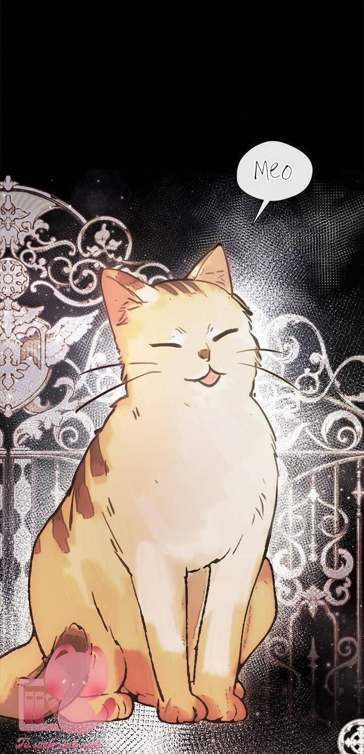 Thành Viên Trong Gia Đình Phát Cuồng Vì Tôi Chapter 48 - Trang 2