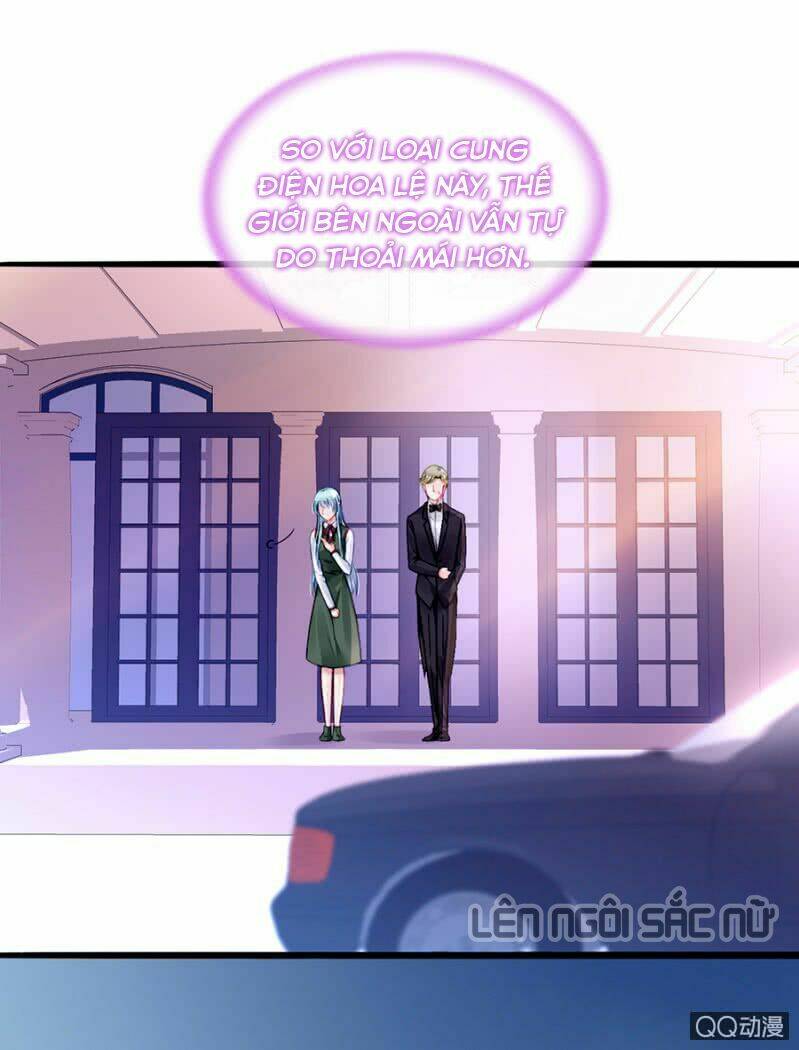 Thanh Xuân Bị Lãng Quên Chapter 71 - Trang 2