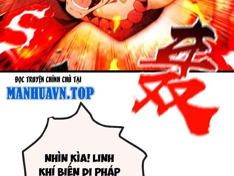 Thập Đại Đế Hoàng Đều Là Đệ Tử Của Ta Chapter 382 - Trang 2