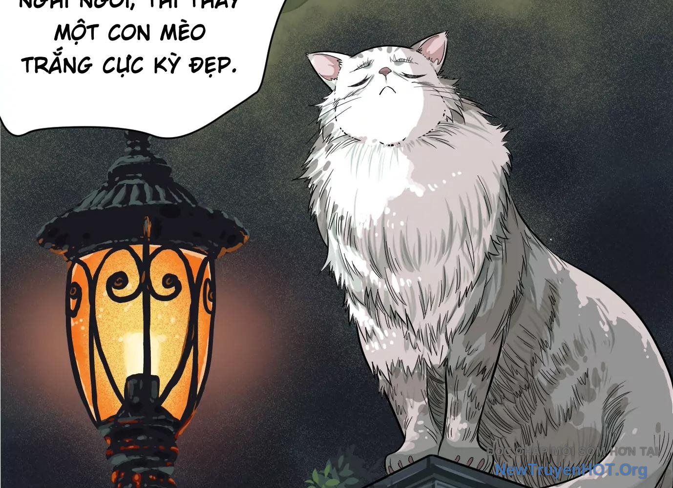 Thập Nhị Tinh – Dị Thú Mê Thành Chapter 20 - Trang 2
