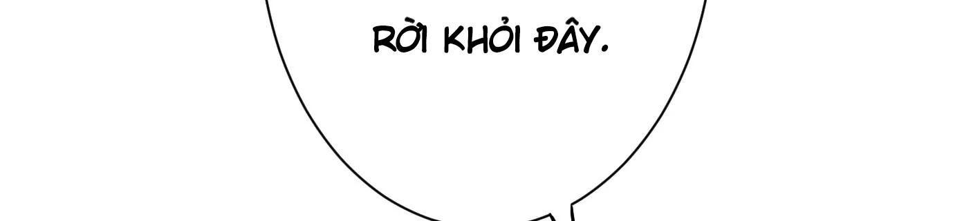 Thập Nhị Tinh – Dị Thú Mê Thành Chapter 31 - Trang 2