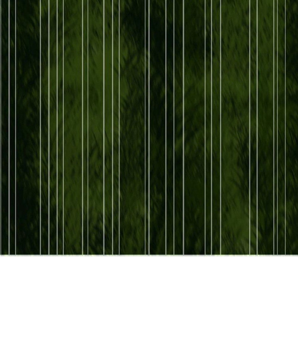 Thất Đại Kỳ Tích – Nước Mắt Bạo Quân Chapter 10 - Trang 2