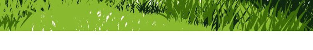 Thất Đại Kỳ Tích – Nước Mắt Bạo Quân Chapter 10 - Trang 2