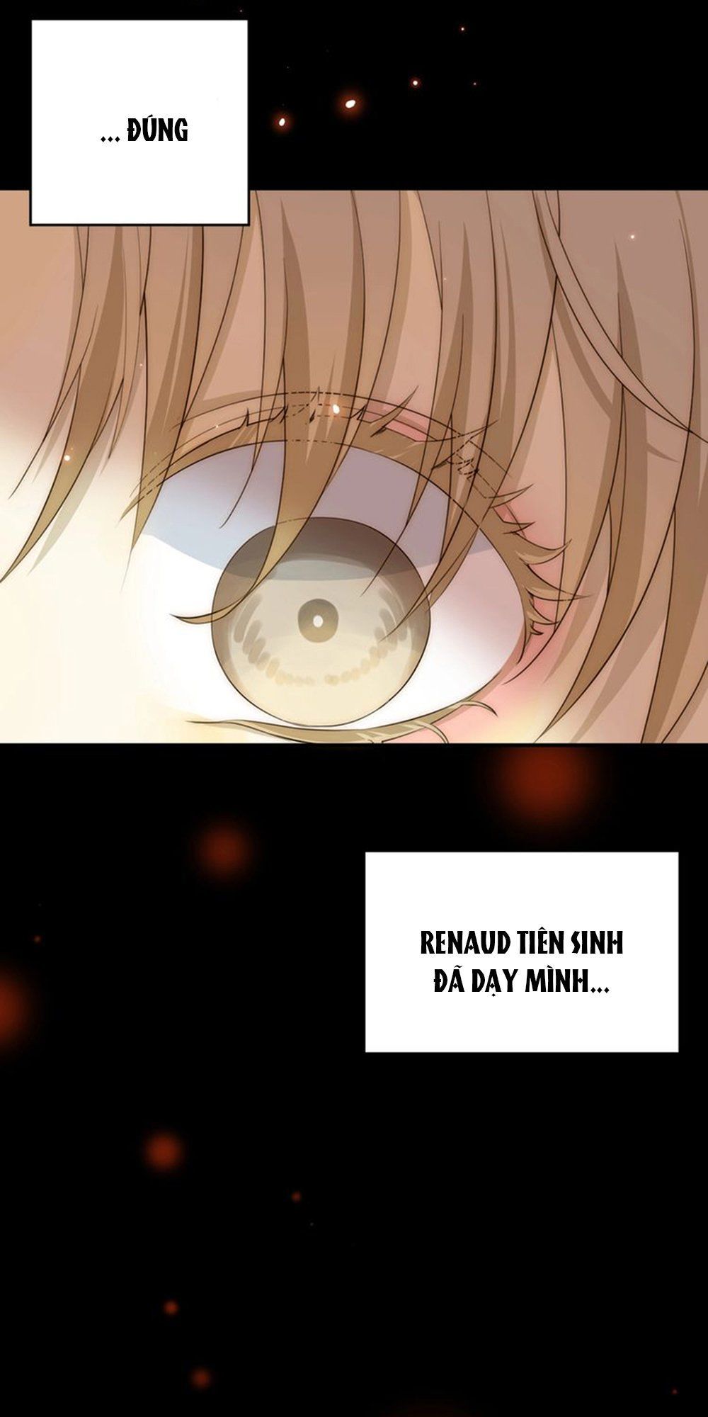 Thất Đại Kỳ Tích – Nước Mắt Bạo Quân Chapter 14 - Trang 2