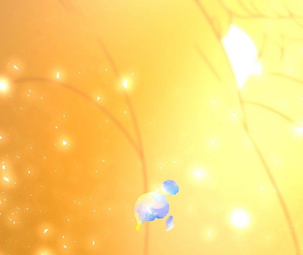 Thất Đại Kỳ Tích – Nước Mắt Bạo Quân Chapter 21 - Trang 2