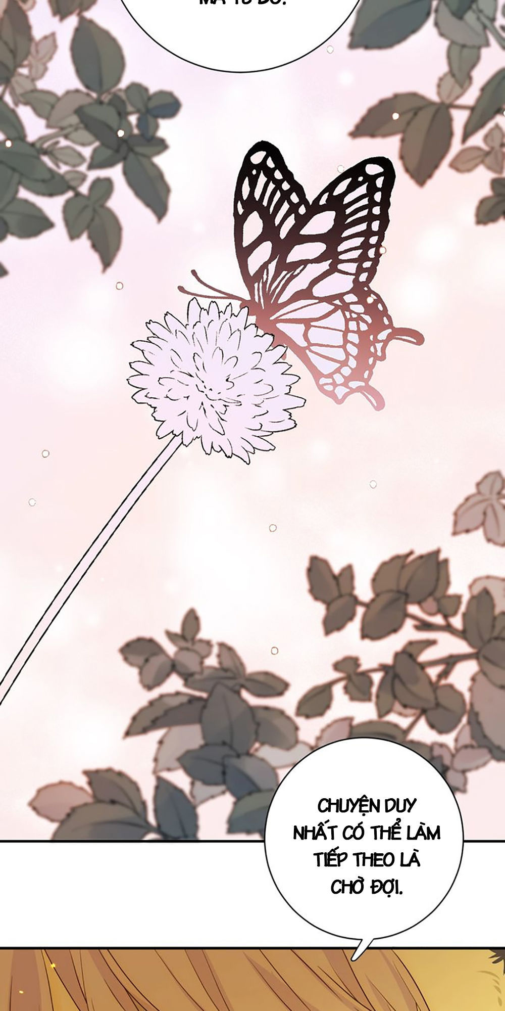 Thất Đại Kỳ Tích – Nước Mắt Bạo Quân Chapter 24 - Trang 2