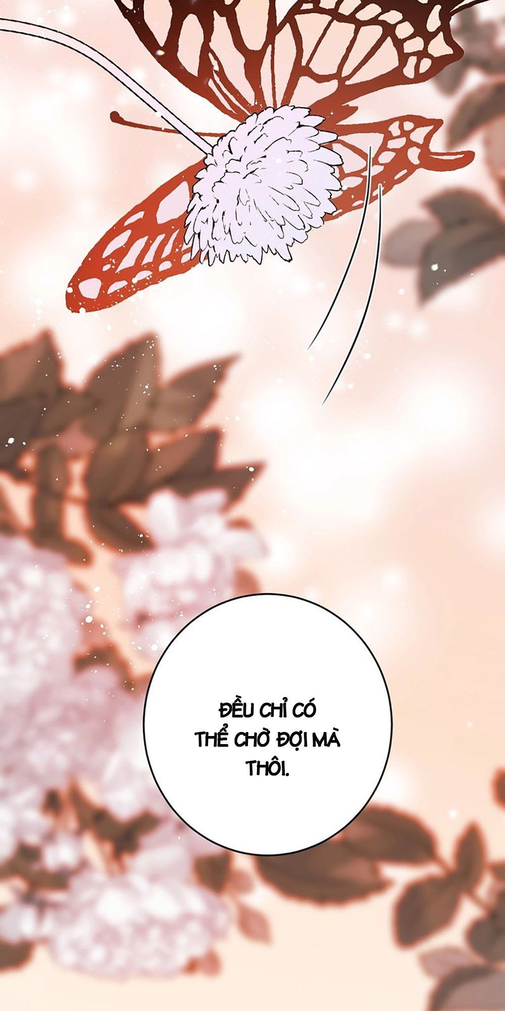 Thất Đại Kỳ Tích – Nước Mắt Bạo Quân Chapter 24 - Trang 2