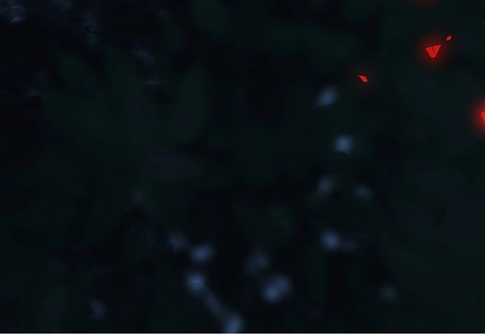 Thất Đại Kỳ Tích – Nước Mắt Bạo Quân Chapter 32 - Trang 2