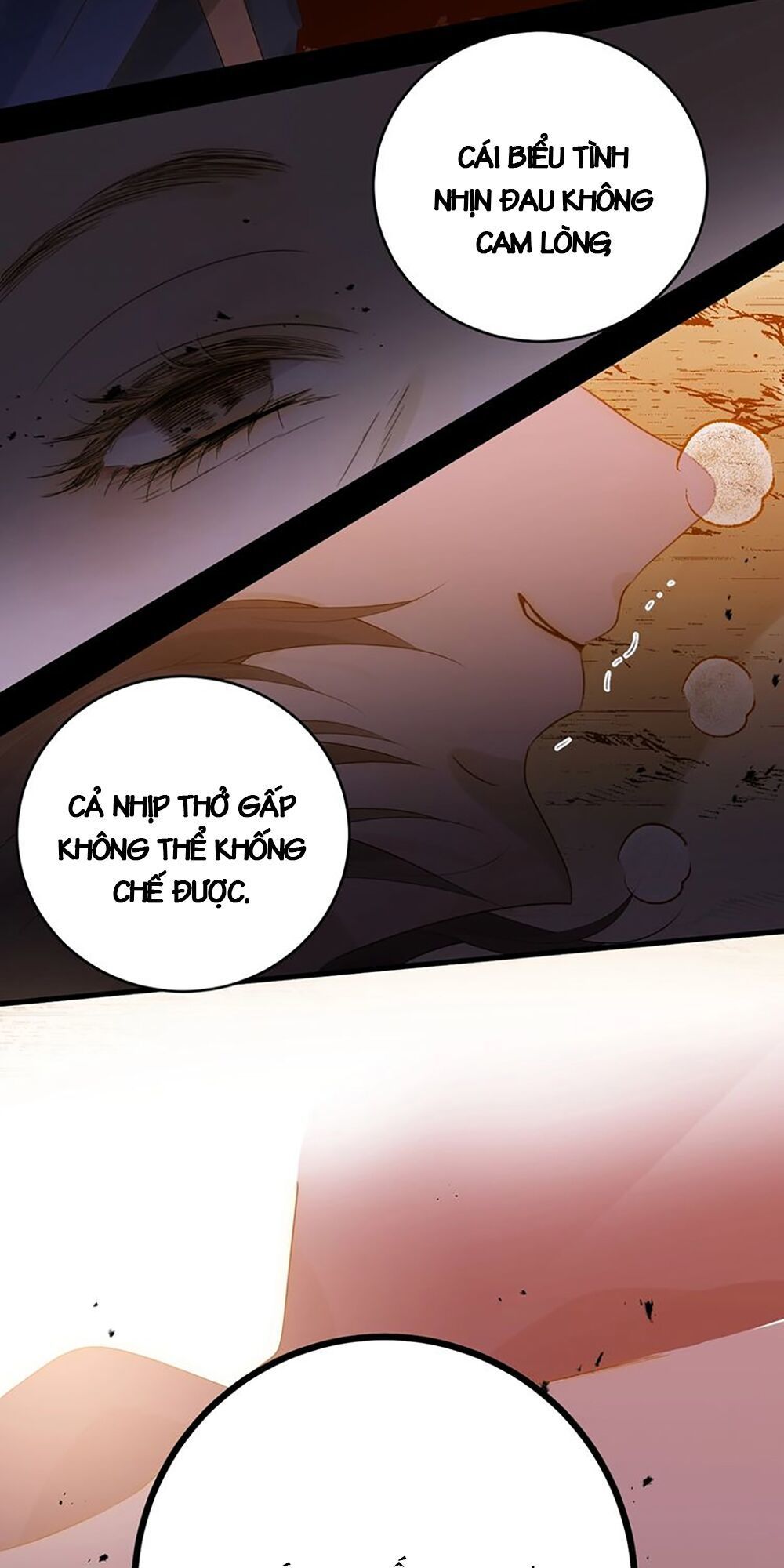 Thất Đại Kỳ Tích – Nước Mắt Bạo Quân Chapter 34 - Trang 2