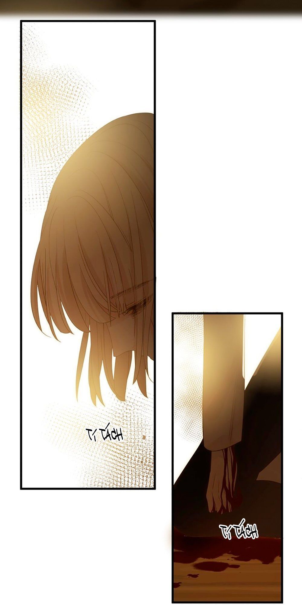 Thất Đại Kỳ Tích – Nước Mắt Bạo Quân Chapter 36 - Trang 2