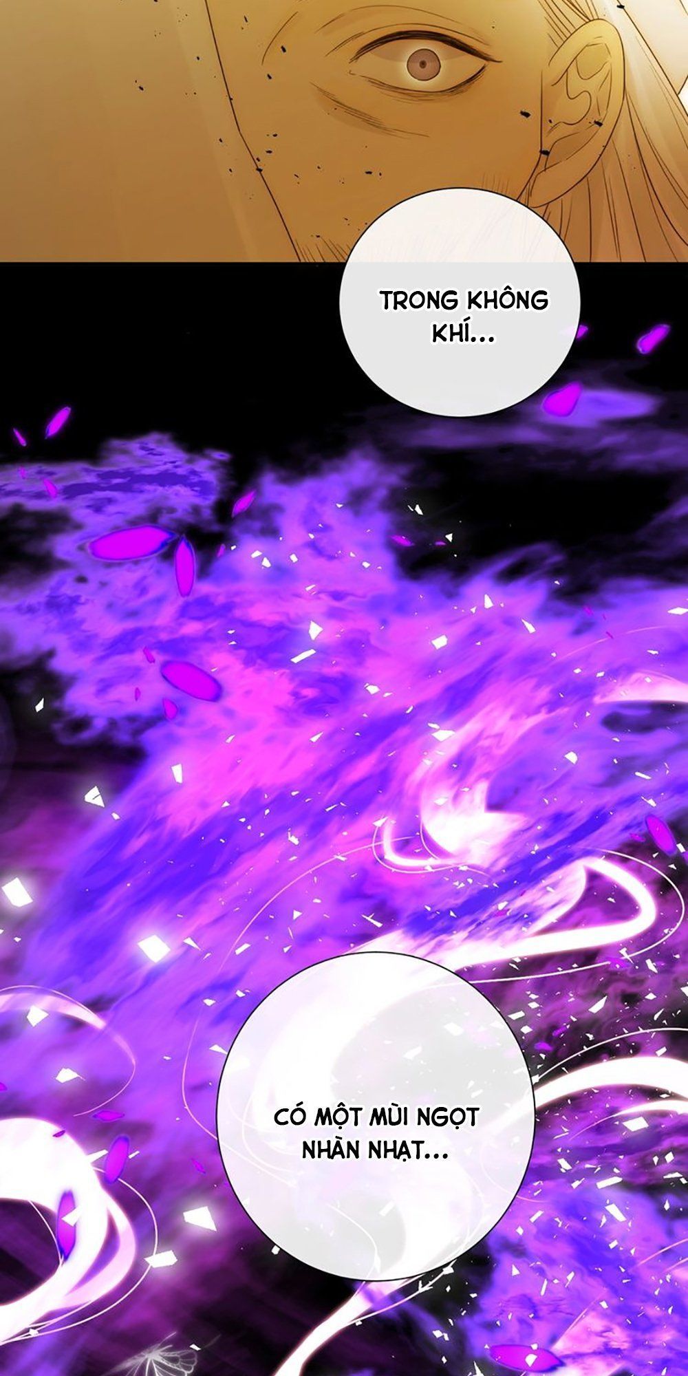 Thất Đại Kỳ Tích – Nước Mắt Bạo Quân Chapter 39 - Trang 2