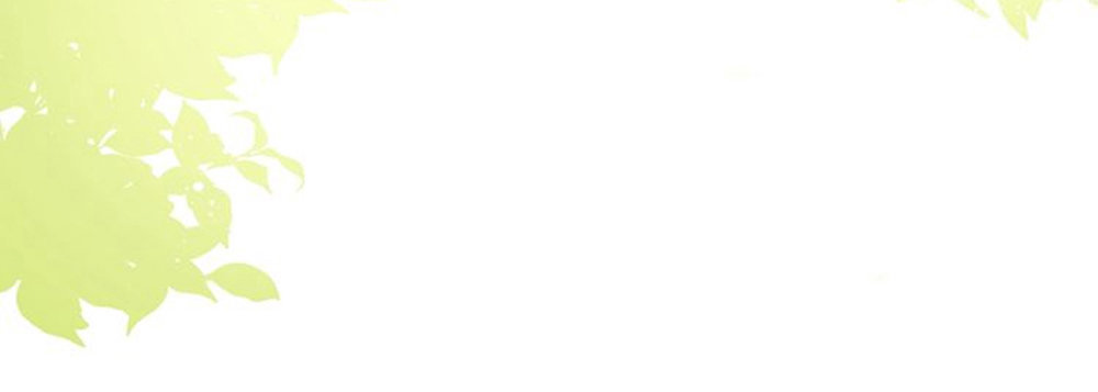 Thất Đại Kỳ Tích – Nước Mắt Bạo Quân Chapter 9 - Trang 2