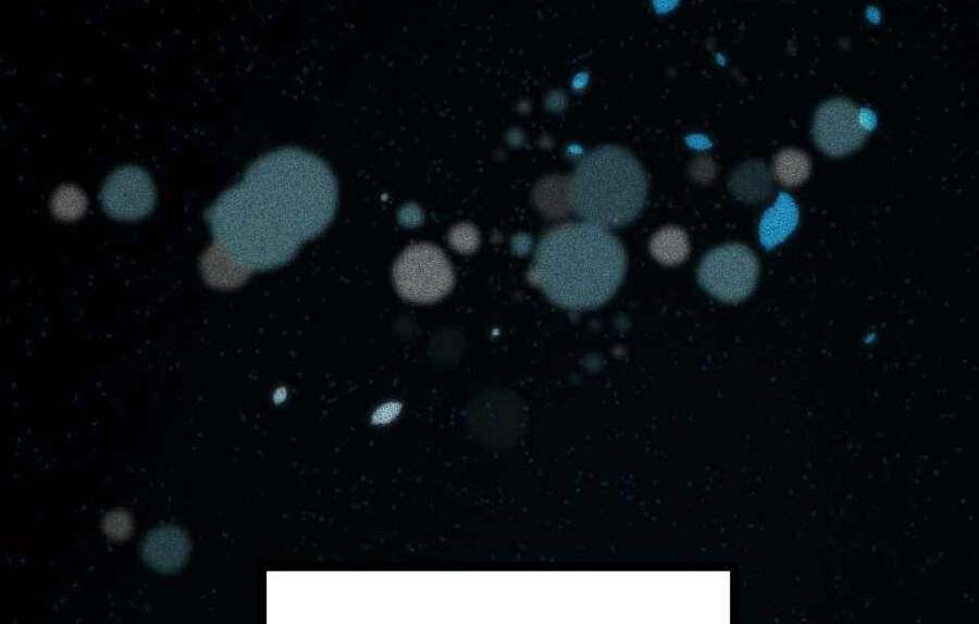 The Beginning After The End Chapter 124 - Trang 2