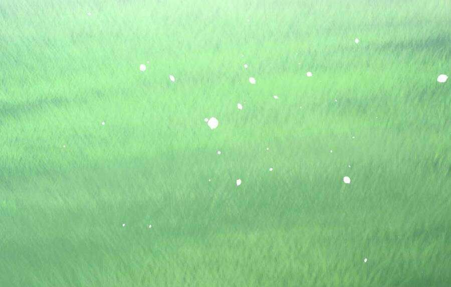 The Beginning After The End Chapter 154 - Trang 2