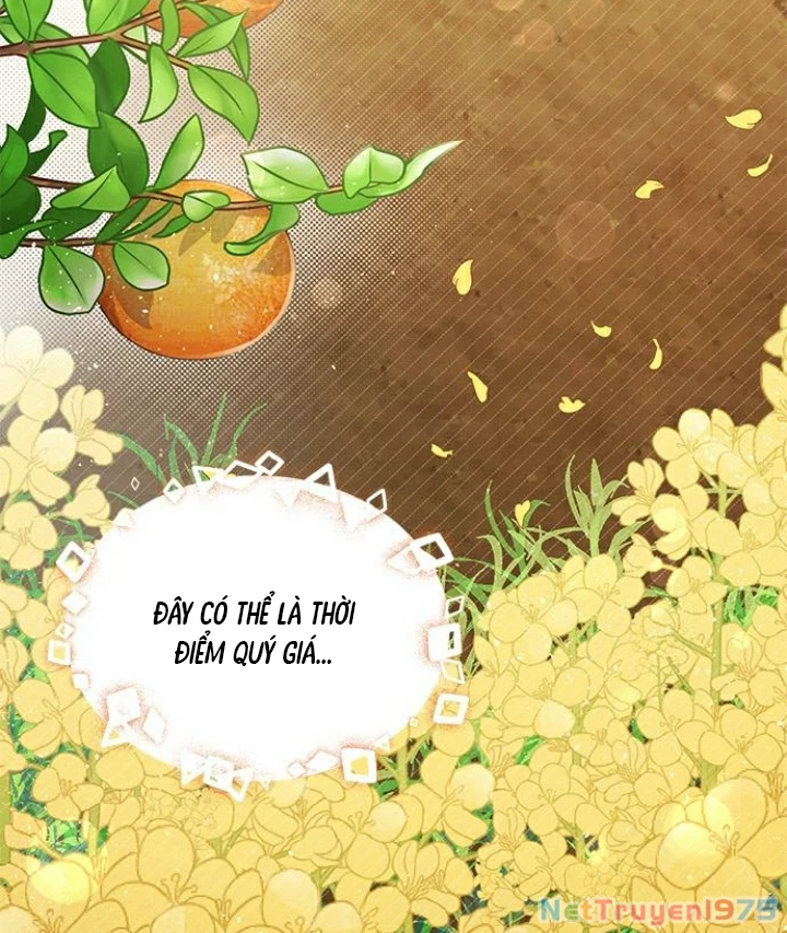 The Castle – Quỷ Nhãn Tân Nương Chapter 90 - Trang 2