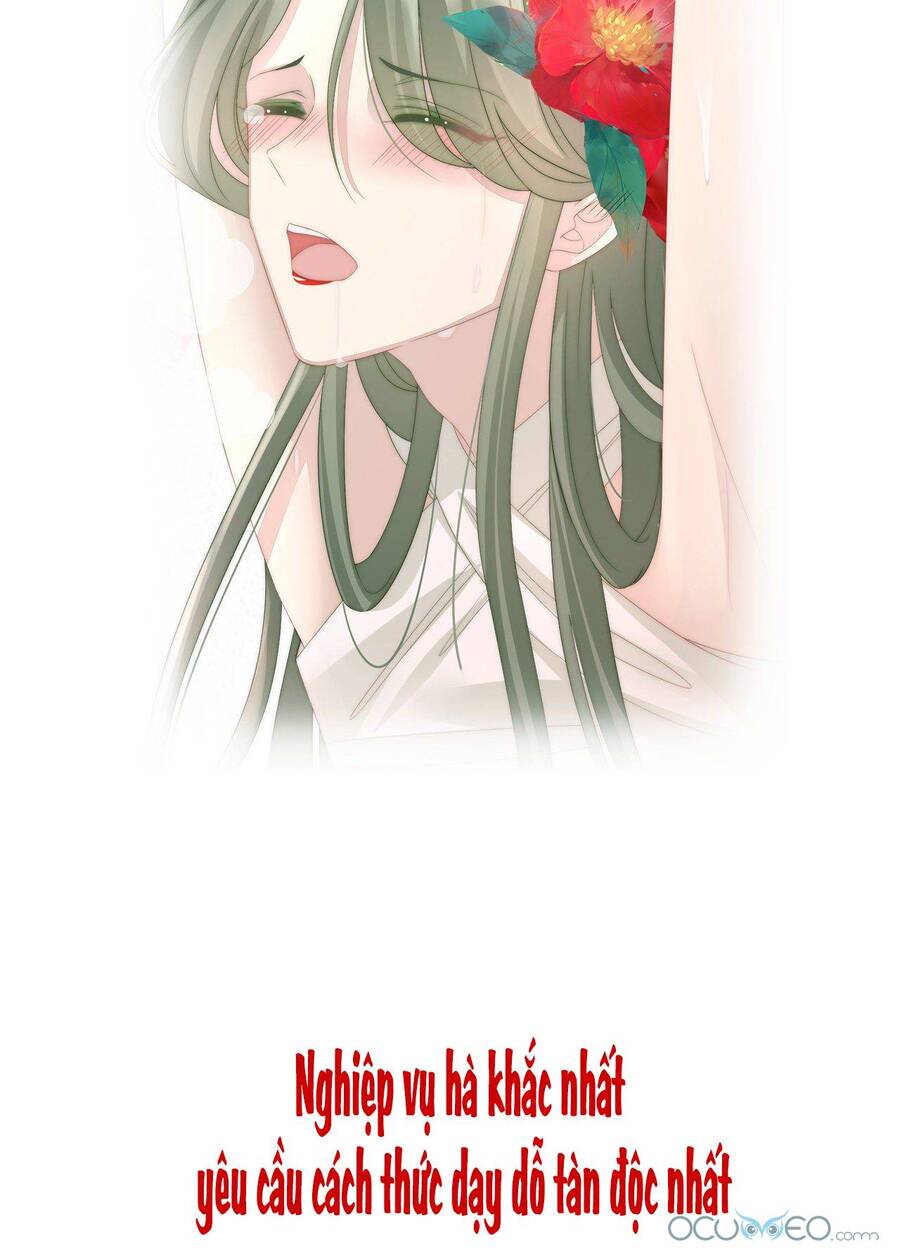 Thê Chủ, Thỉnh Hưởng Dụng Chapter 0.3 - Trang 2