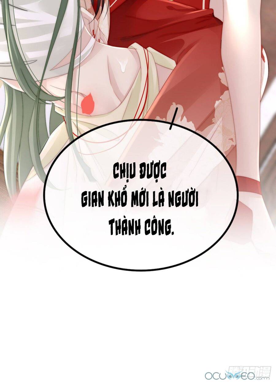 Thê Chủ, Thỉnh Hưởng Dụng Chapter 0.3 - Trang 2