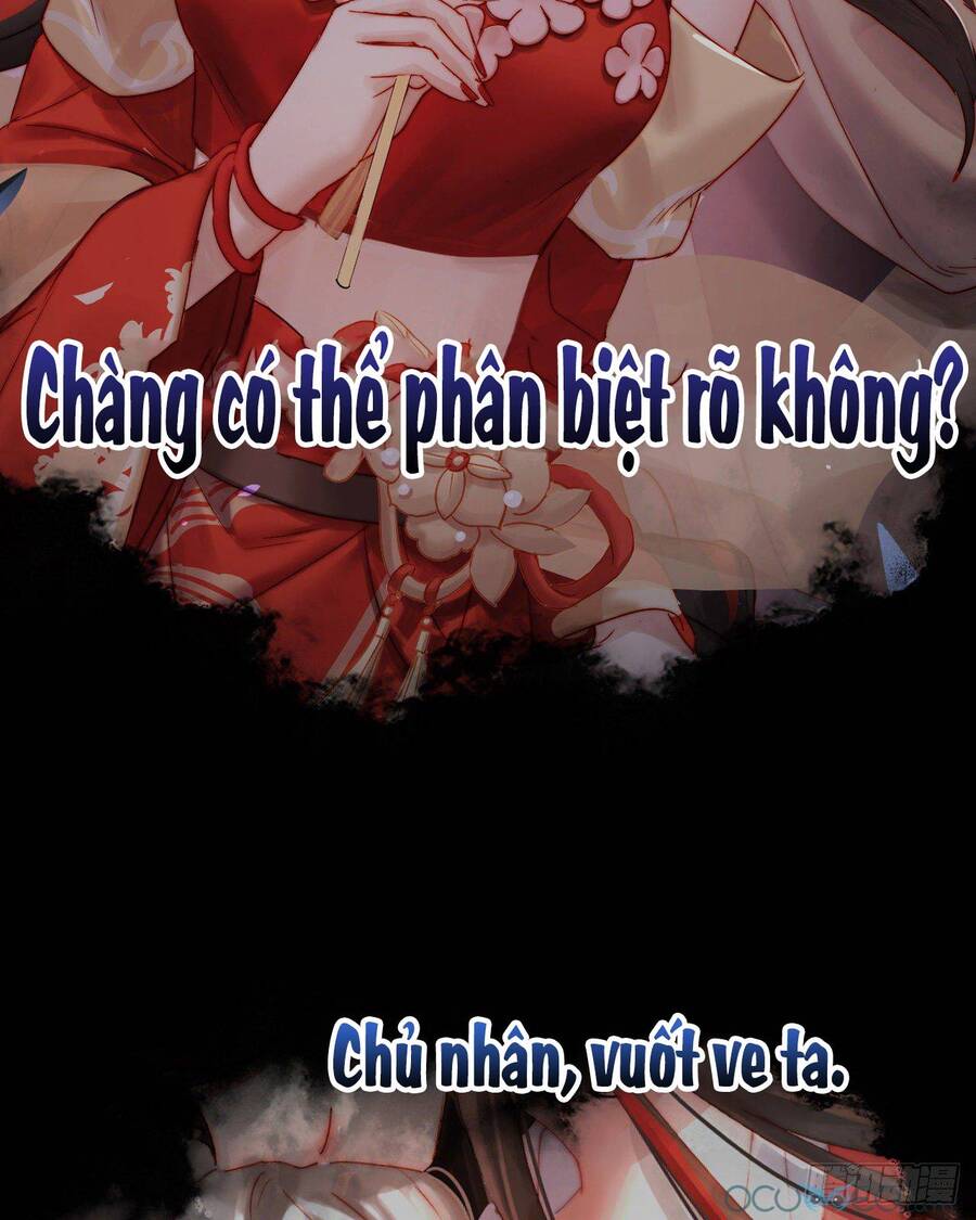 Thê Chủ, Thỉnh Hưởng Dụng Chapter 0.3 - Trang 2