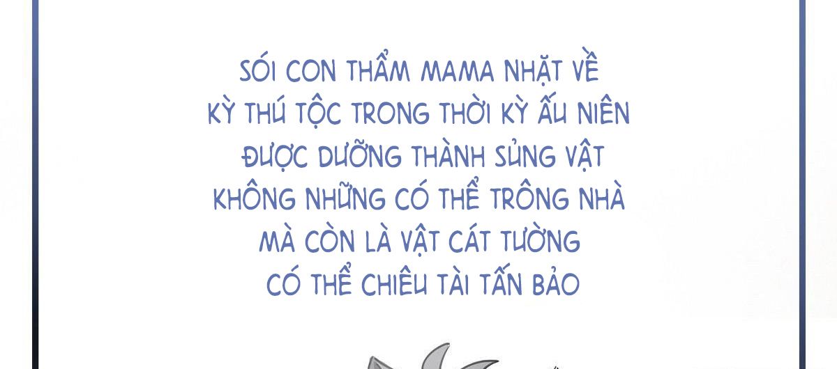 Thê Chủ, Thỉnh Hưởng Dụng Chapter 0 - Trang 2