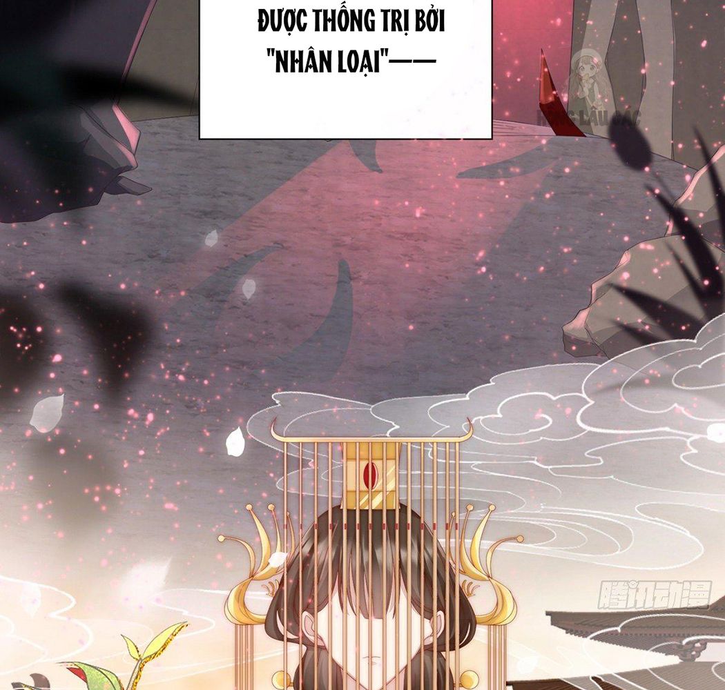 Thê Chủ, Thỉnh Hưởng Dụng Chapter 1 - Trang 2