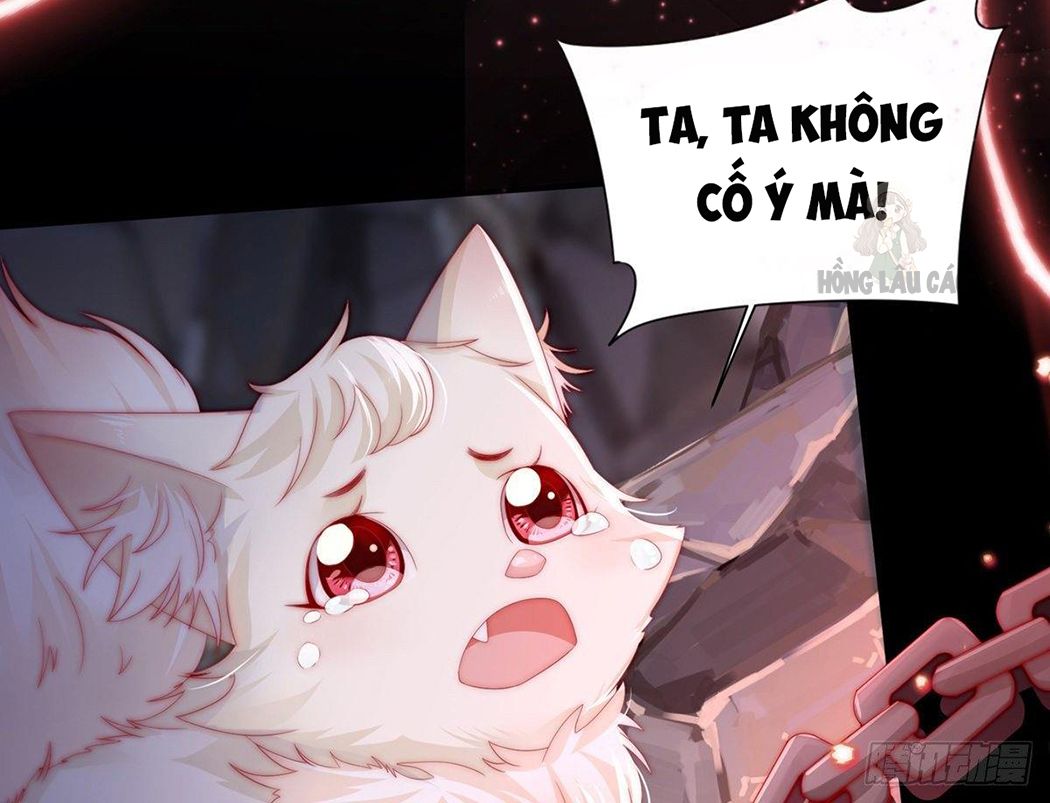 Thê Chủ, Thỉnh Hưởng Dụng Chapter 1 - Trang 2