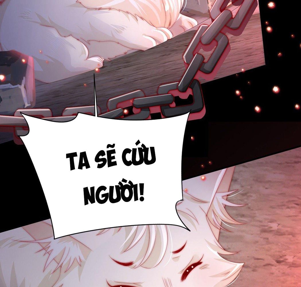 Thê Chủ, Thỉnh Hưởng Dụng Chapter 1 - Trang 2