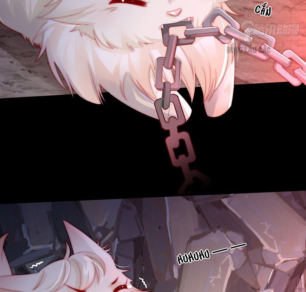 Thê Chủ, Thỉnh Hưởng Dụng Chapter 1 - Trang 2