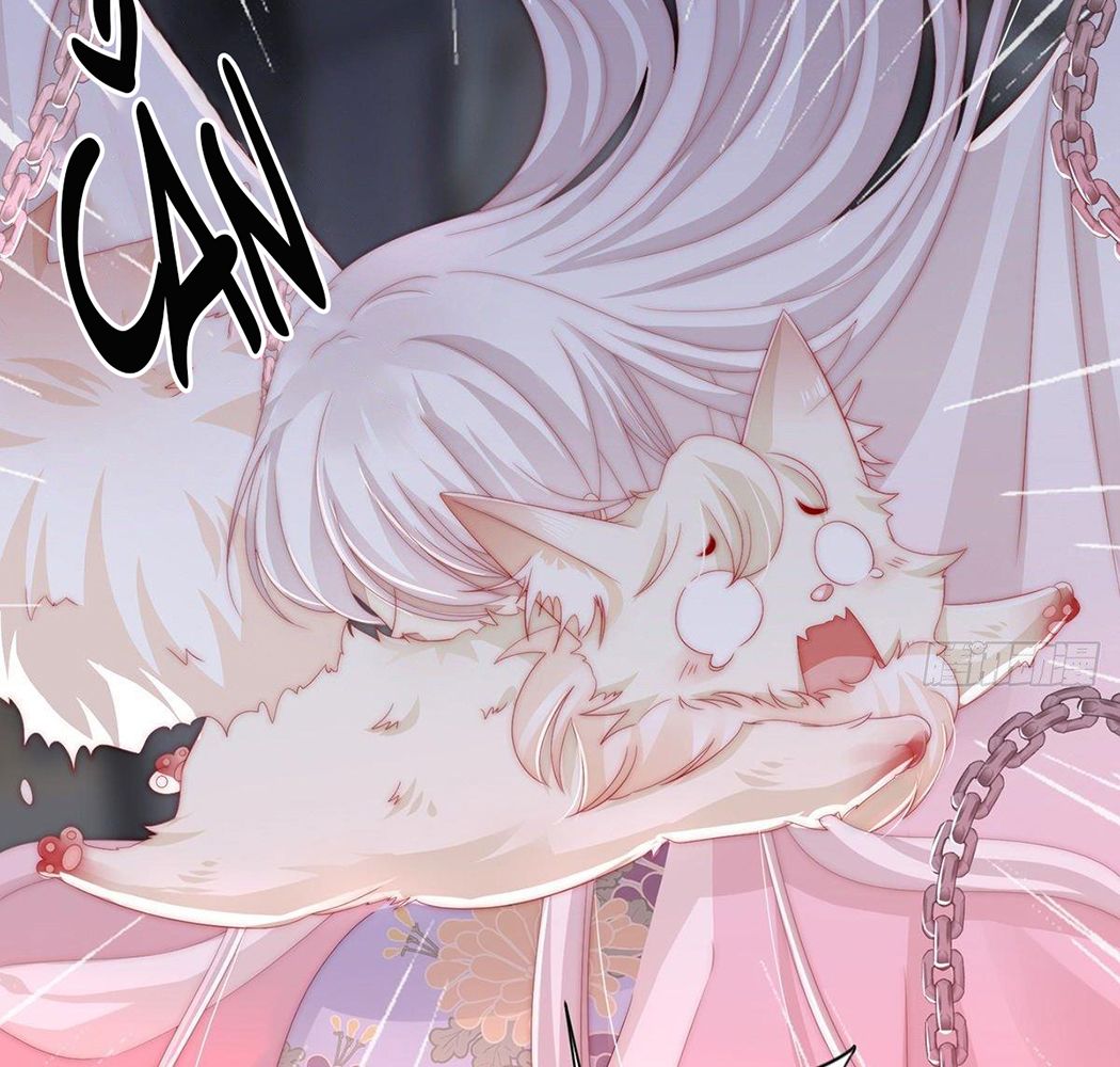 Thê Chủ, Thỉnh Hưởng Dụng Chapter 1 - Trang 2